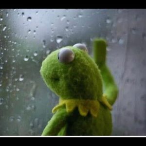 Window Shopping and Liking other Poshers items